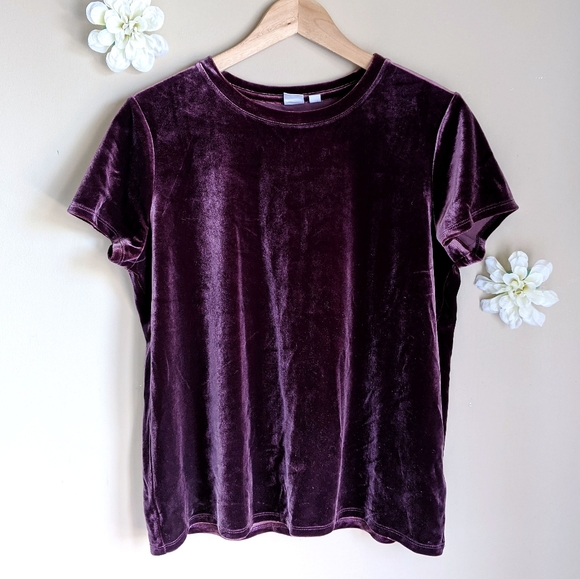 GAP Tops - GAP purple velvet tee-shirt top